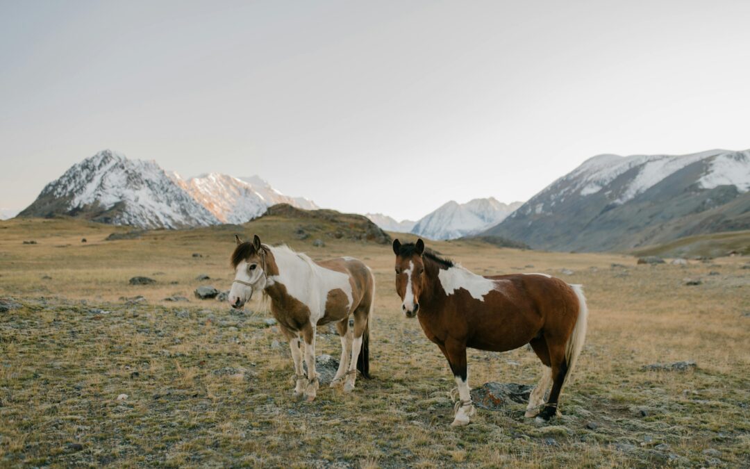 Top 5 Travel Destinations Inside Bangladesh